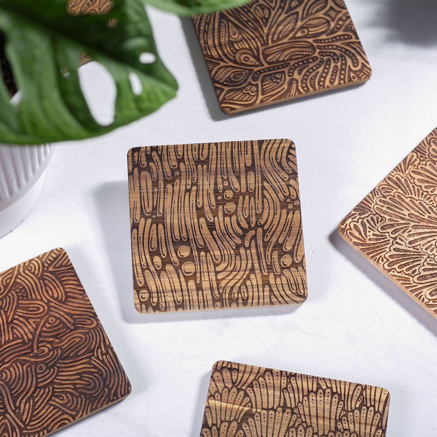 Hand-Illustrated Engraved Coaster Set