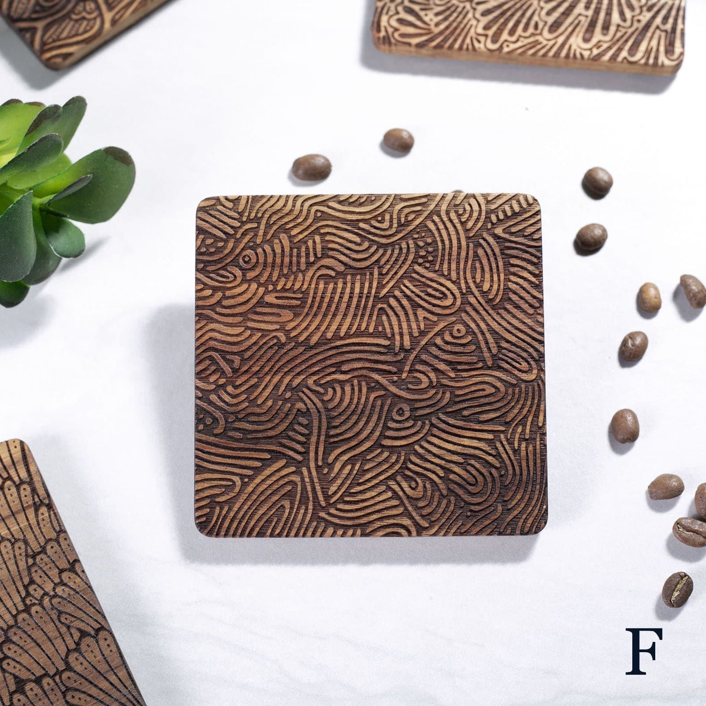 Hand-Illustrated Engraved Coaster Set