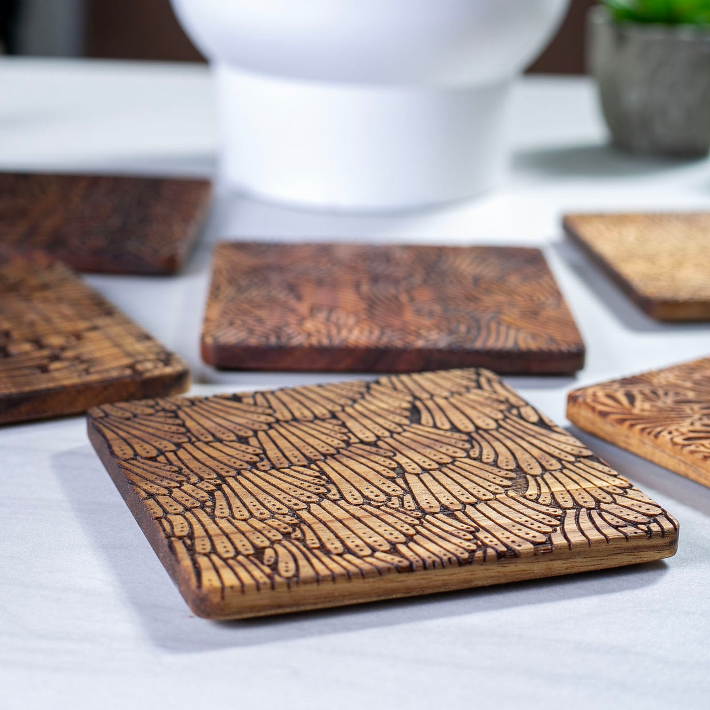 Hand-Illustrated Engraved Coaster Set